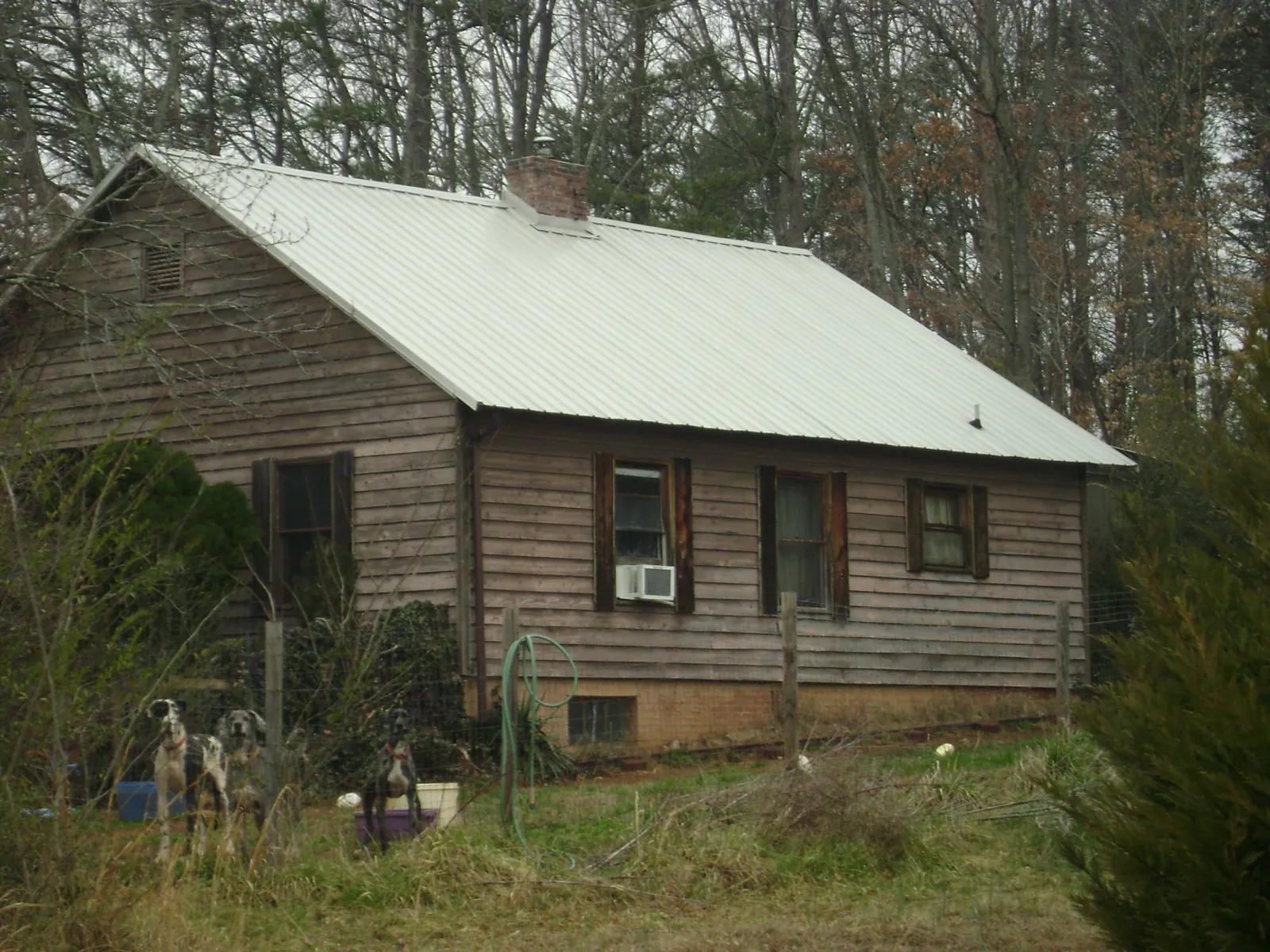 White metal roof on an old wood sided farmhouse, from a Asphalt Shingle Roof Repair job in Clymer